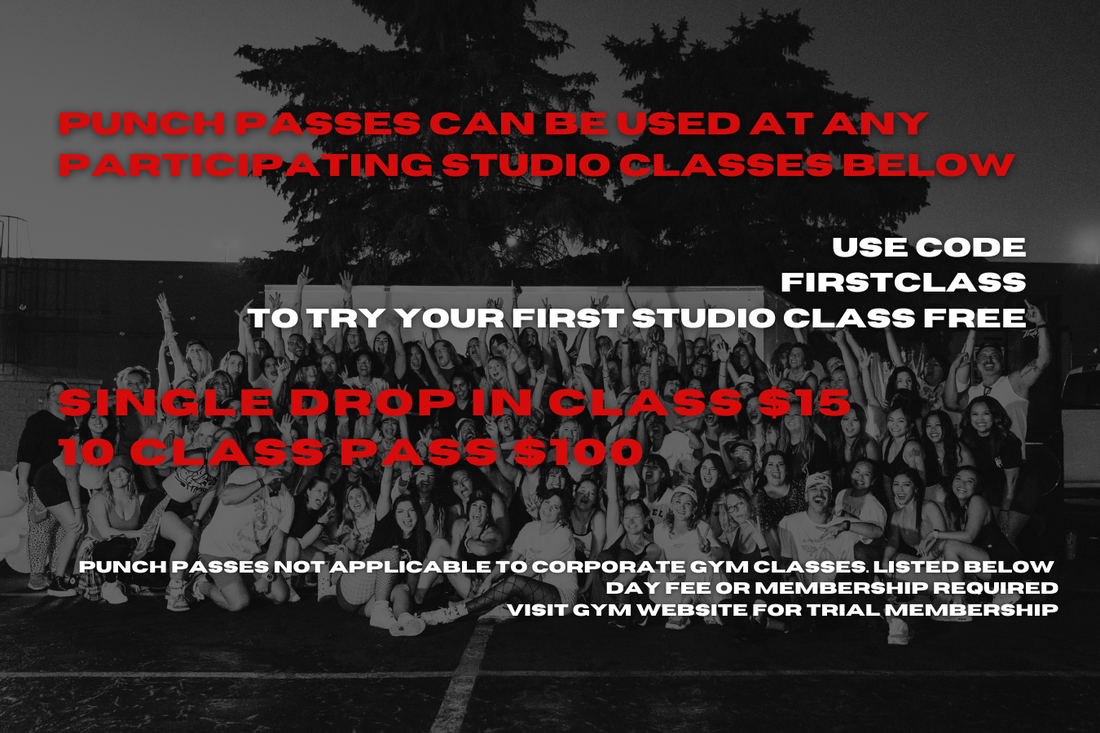 FIND A CLASS – Riot Dance Fitness